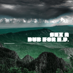 Darkroom Dubs