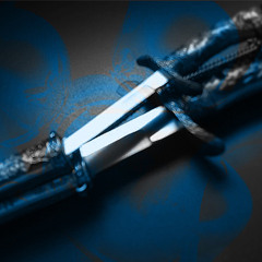 Rogue of Winter (Sharper Blades Mix)