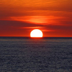 Streams of Europe - The Many Lives of a Clone