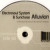Artwork for Electrosoul System & Sunchase - Alluvion