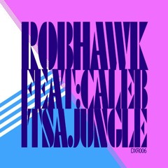 Rob Hawk - It's A Jungle (Q-Burns Abstract Message Remix)
