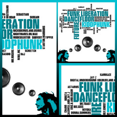 Future Dancefloor Funk Liberation (Studio, 2008)