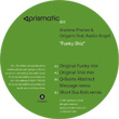 Andrew Phelan & Origami - Funky Shiz (Q-Burns Abstract Message Mix)
