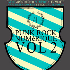 Punk Rock Numérique Vol2