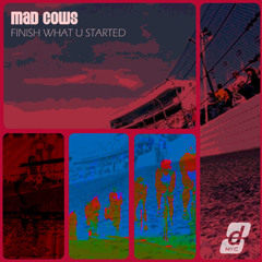 Finish What You Started (DJ Noxxer 'tek' remix)