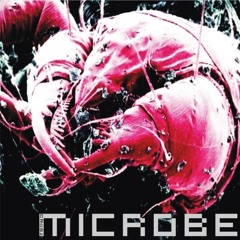 Microbe - mix 2004
