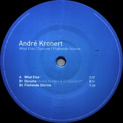 Andre Kronert - What Else