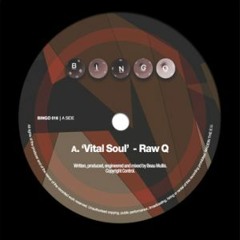 Raw Q -Vital Soul - BINGO016