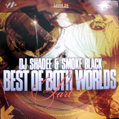 DJ SHADEE & DJ SMOKEBLACK BEST OF BOTH WORLDS PT.2