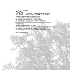 ck two - my domestic animal plant(rainer liest remix) only digital