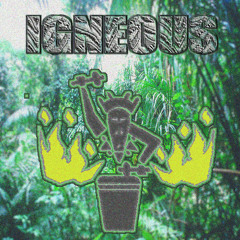 Igneous - Witch Doctor