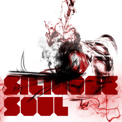 silicone soul - koko's song (clip)