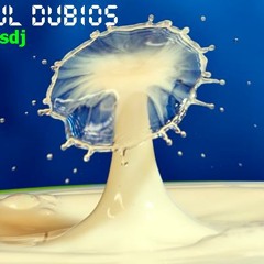 Dj Samples - Stilul DUBios