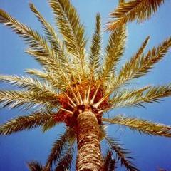 We Gonna Make it in the House mix