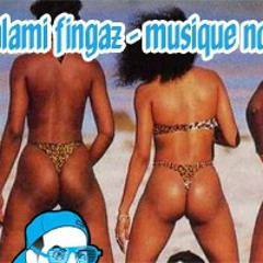 DJ Salami Fingaz - Musique Non Stop