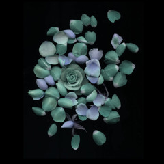 La Fleur - Flower Power Mix