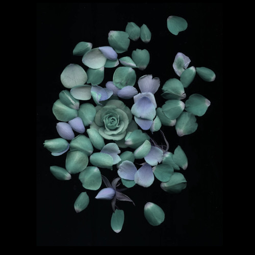 La Fleur - Flower Power Mix