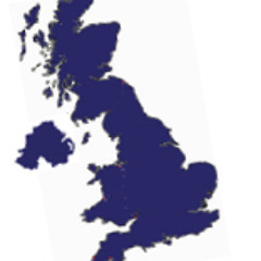 Digital NHS, Privacy, Community, Digital Britons (Short reports)