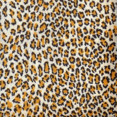 Oisin Lunny Burlesque Mix