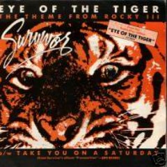 Survivor - Eye of the tiger (Hot Noizes bootleg)