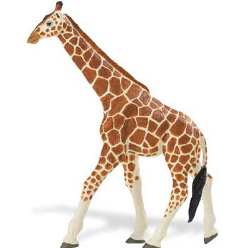 The Adventures of Albert The Giraffe