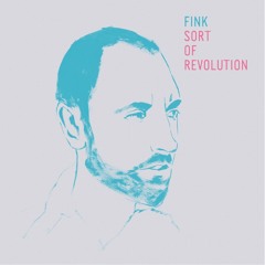 Fink - Sort Of Revolution (The Cinematic Orchestra Remix)