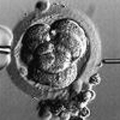 D-ranged - Give Your Self Re Designed