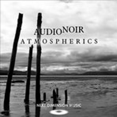 Audio Noir - Atmospherics (Homegroove Project Remix)