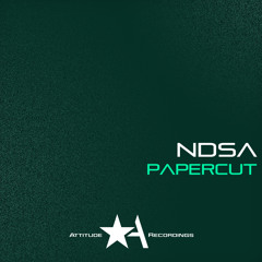 NDSA - Papercut (FM Radio Gods Rmx)