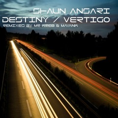 Shaun Ansari - Destiny (Mr Kre8 Remix)