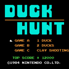 Duck Hunt