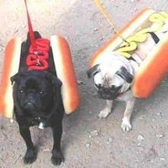 Herr Süss und Herr Sauer - Find U