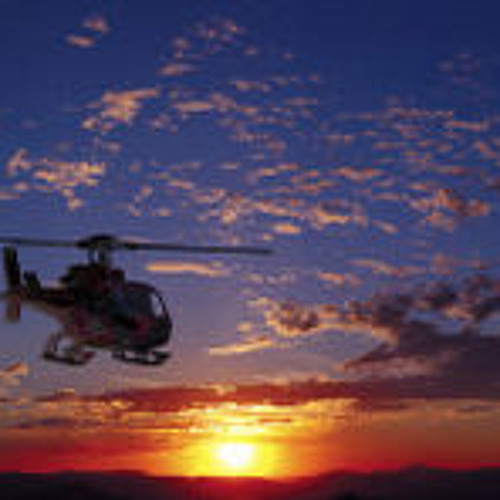 The Lights (Gryllidaen Rights)