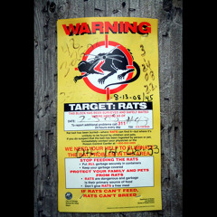 Target Rats