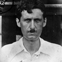 Orwellian Soccer Blues