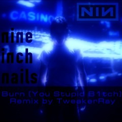 Nin Remixes By Ninkitten