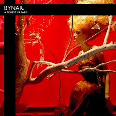 Bynar - A Forest In Paris (The Cure vs. Mylo vs. British Sea Power)
