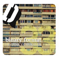 Guest mix #33 "Binary Format" by Pinky Chukkles