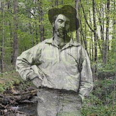 Poets of Nature - These I Singing in Spring - From Leaves of Grass by Walt Whitman