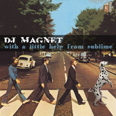 DJ Magnet-With a Little Help From Sublime