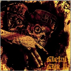 Metal mix II 2009 free download for your extrem sports