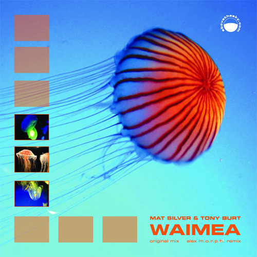 Mat Silver vs. Tony Burt - Waimea (Alex M.O.R.P.H. Remix)