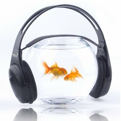 Bijou - Tánc (Camilo's RDS tribute mix) (2009)