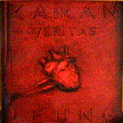 Kaman Leung - What are you looking for/Veritas EP