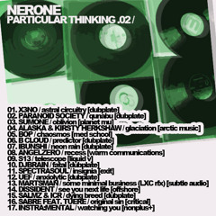 PARTICULAR THINKING .02