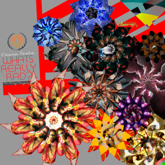 Voodoo Sound (Sasquatch refix)- Øs Crunc Tesla Vampirekiller Arc feat. Daddy Foxxxy & V for Vigalante