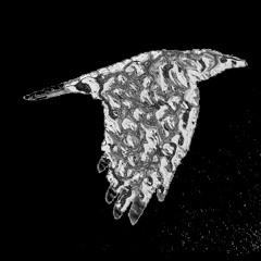 To God (Nine Inch Nails, Closer cover)