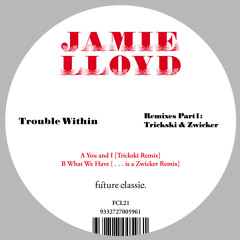 What We Have [… is a Zwicker remix]