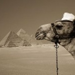 Evighetskamelen - Love - Dom kallar oss kameler