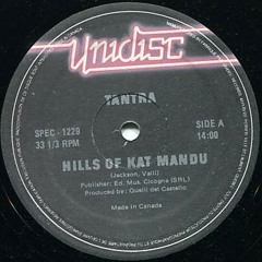 Tantra - The hills of Katmandu (Patrick Cowley rare remix)